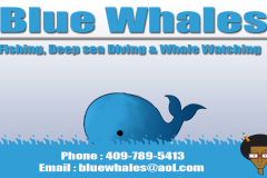 1_blue-whales-bus-cards