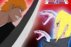 bleach  big fight