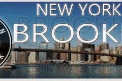 brooklyn nets  web banner